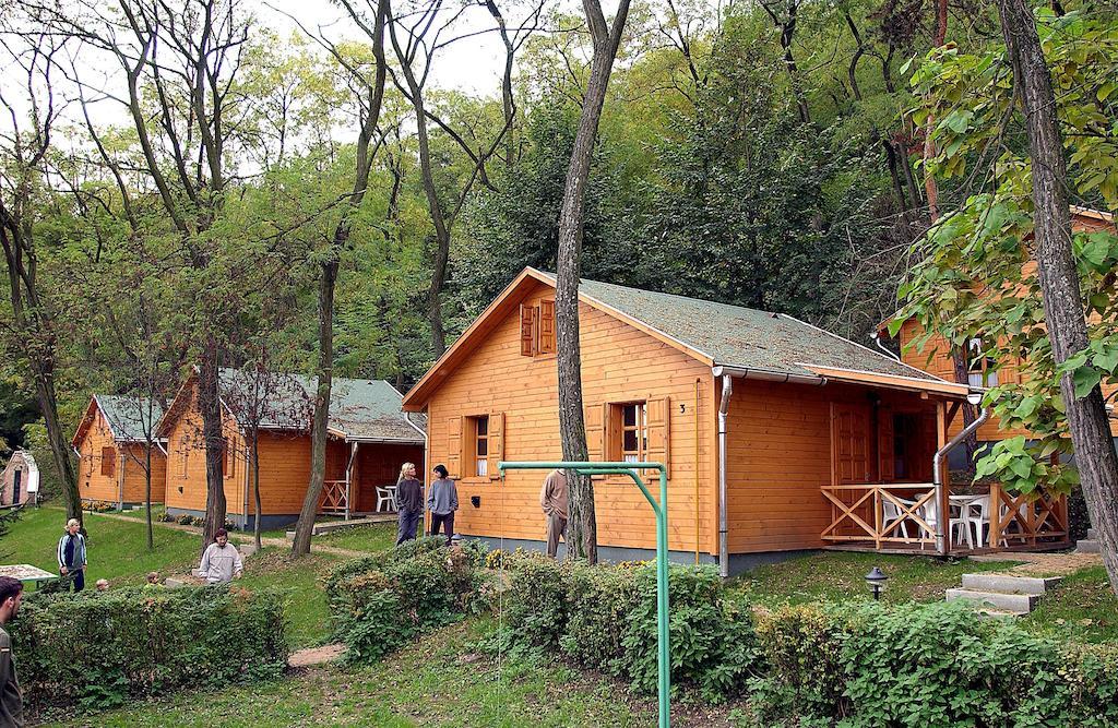 Zoeldvar Villa Bogács Rom bilde
